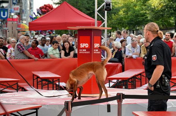 Wahl_2013   007.jpg